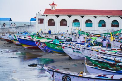 Fishing Boats