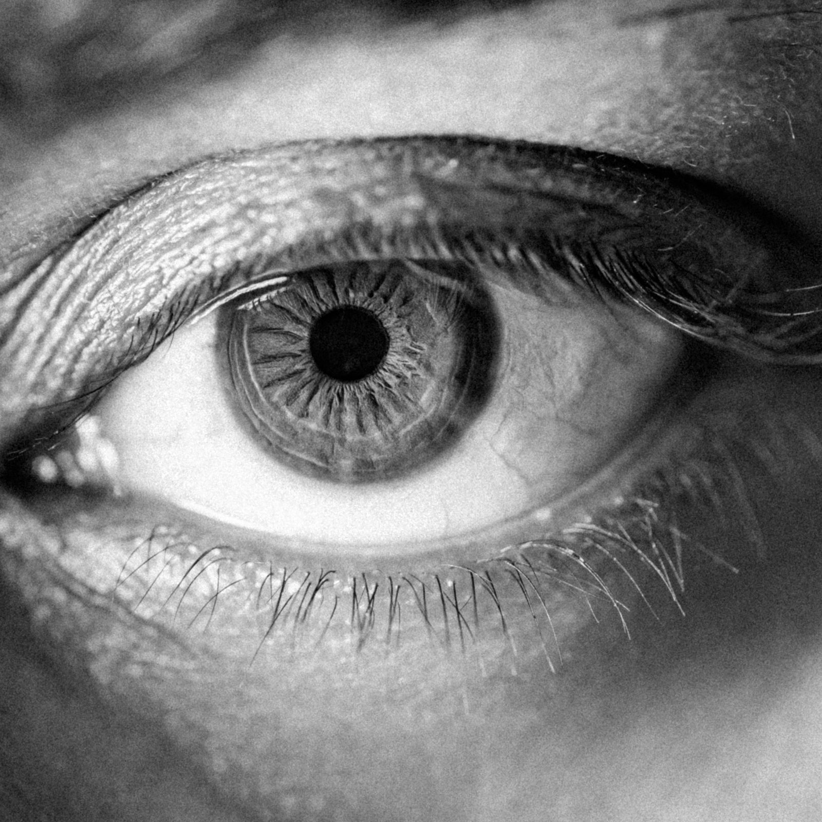 Eye closeup — portrait photograph of eye, close-up, camera lens